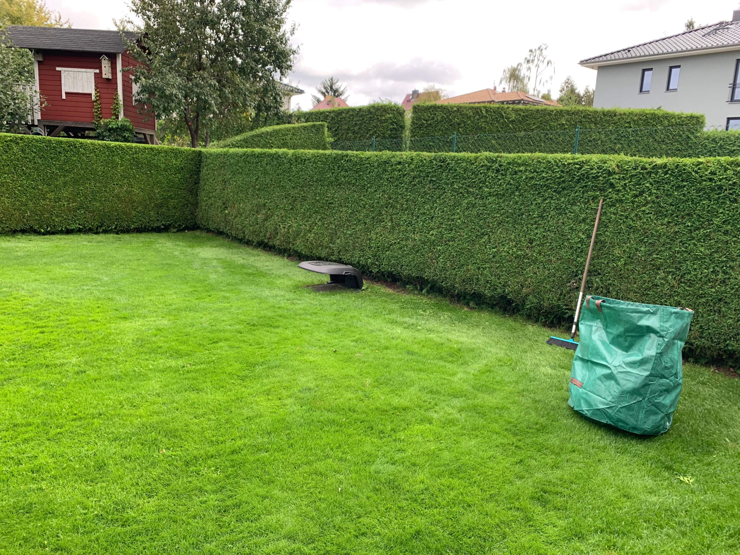 Rasenpflege & Mähen