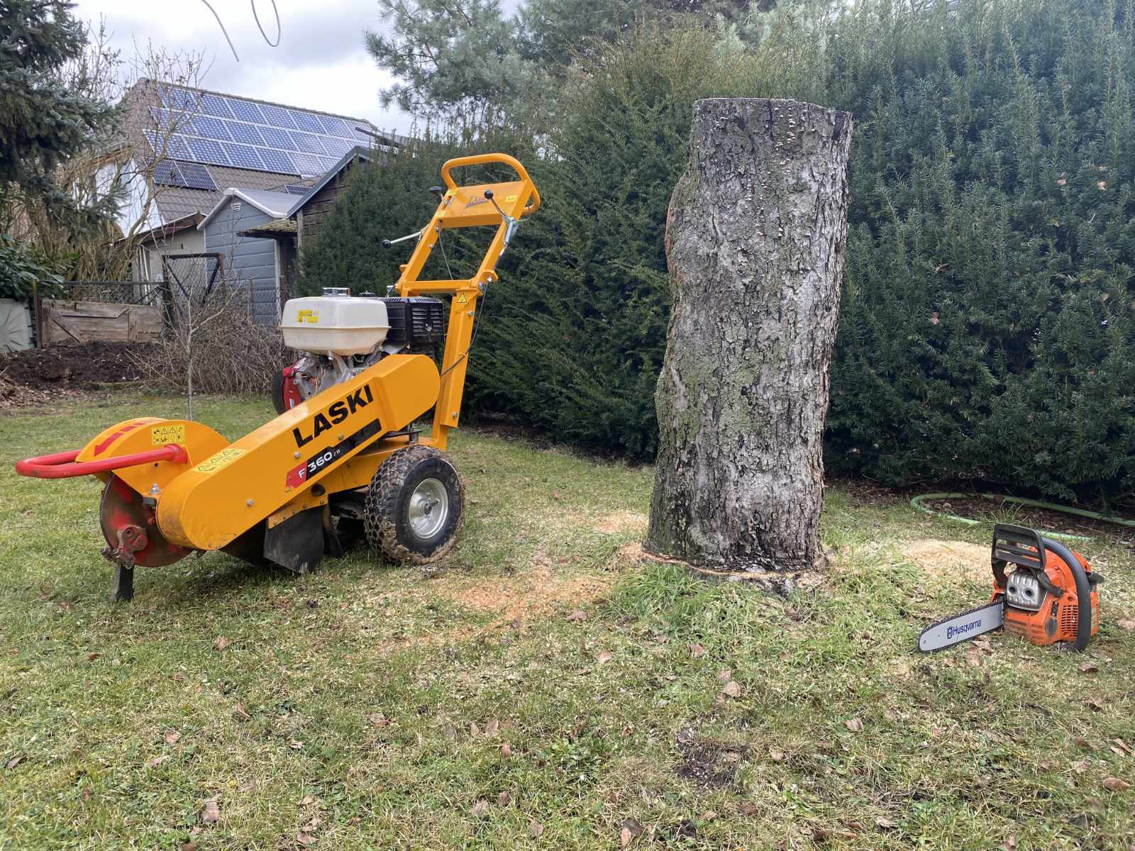 Stubbenfräsen – Baumstumpf entfernen mit Baumstumpffräse