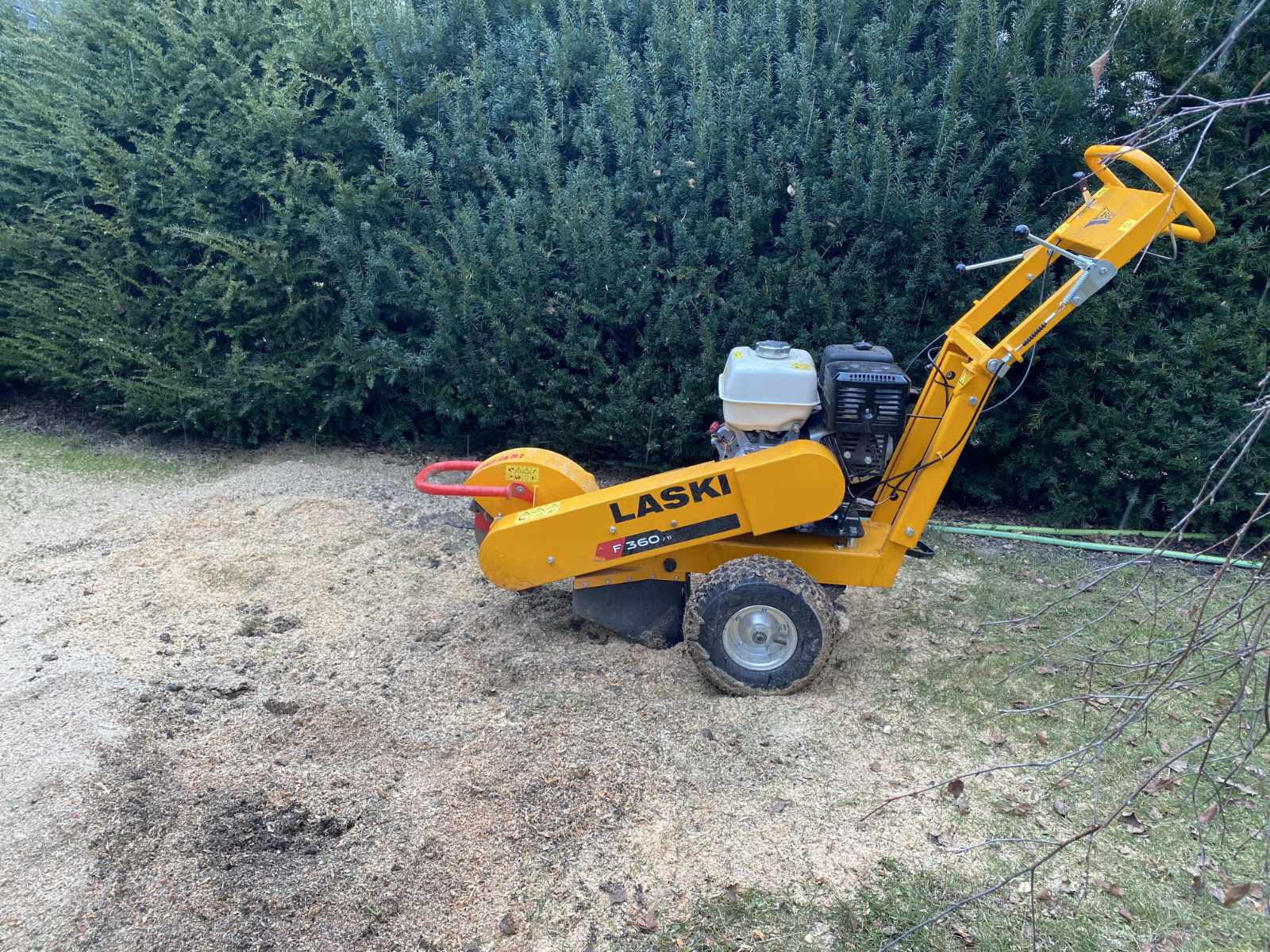 Baumstumpf fräsen und Wurzelstock entfernen im Garten
